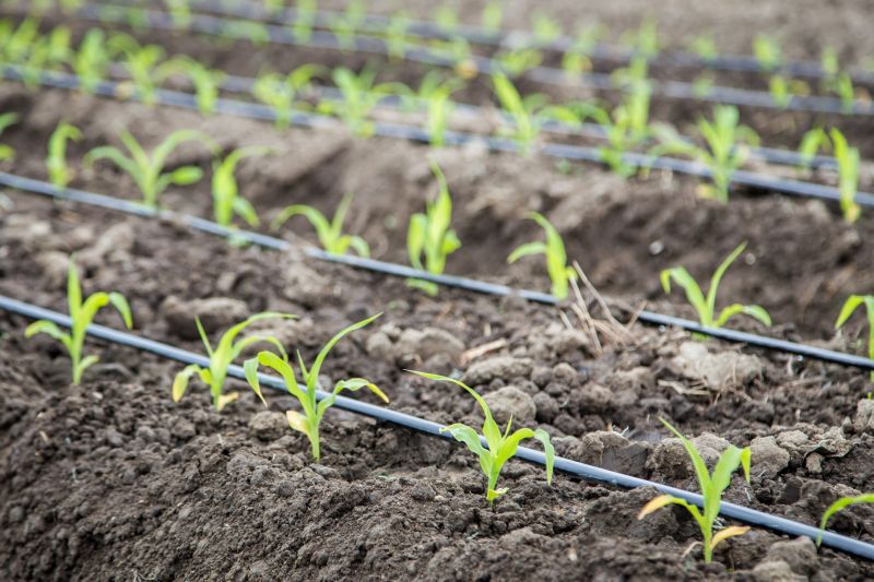 Yard Irrigation Installation in Ventura County, CA