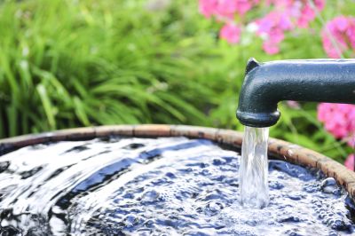 Outdoor Watering Installation