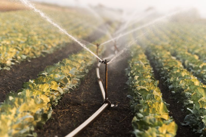 Type of Irrigation System