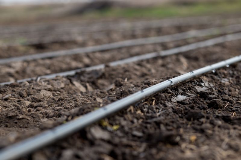 Drip Irrigation